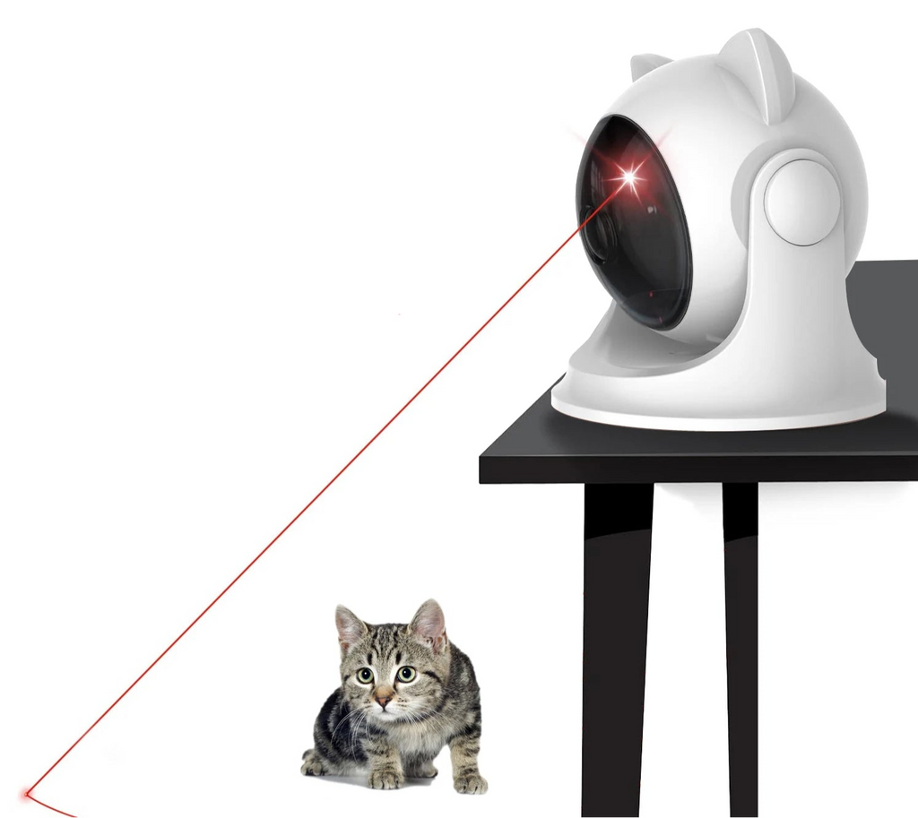 Laser pour Chat