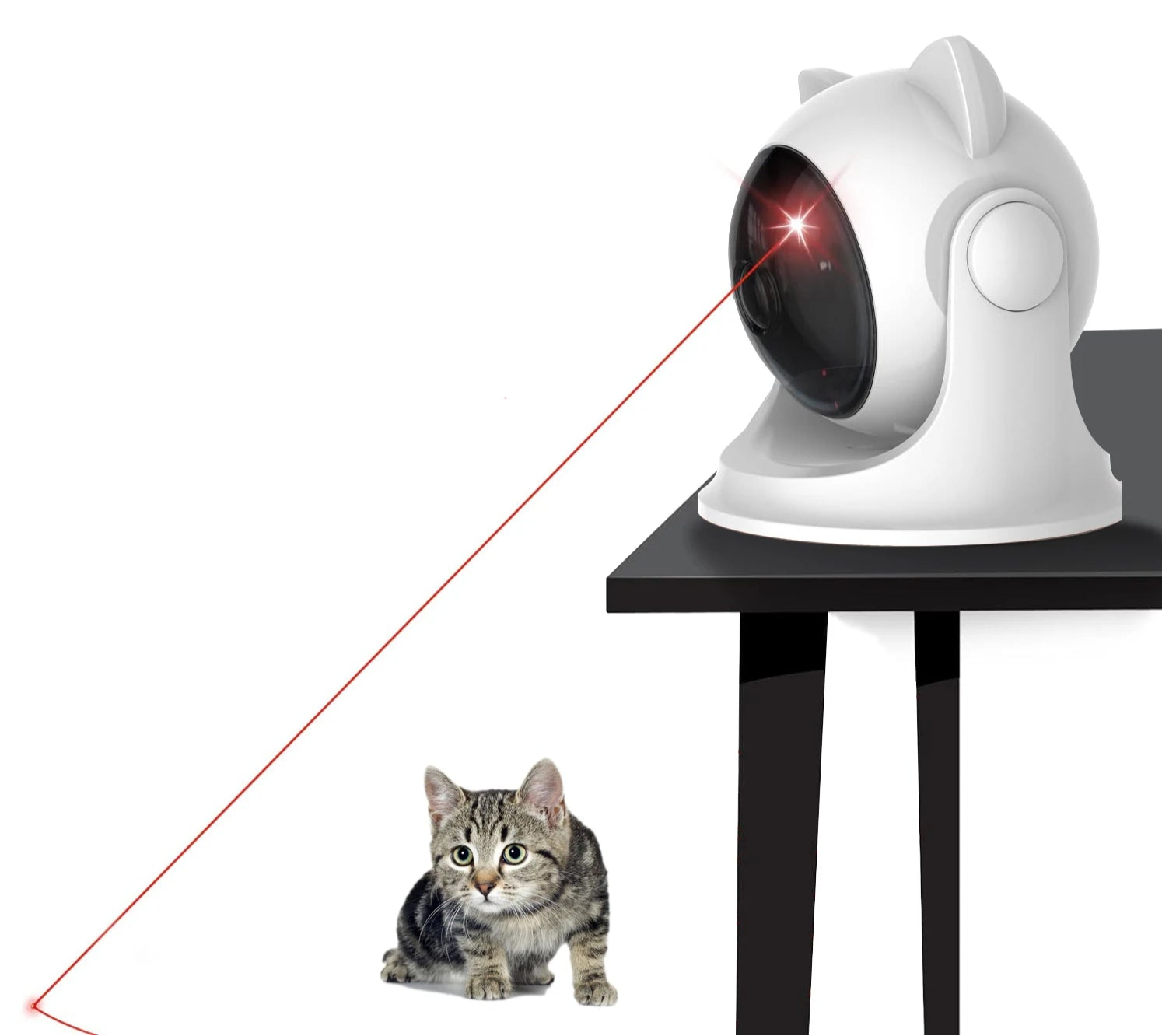 Laser pour Chat