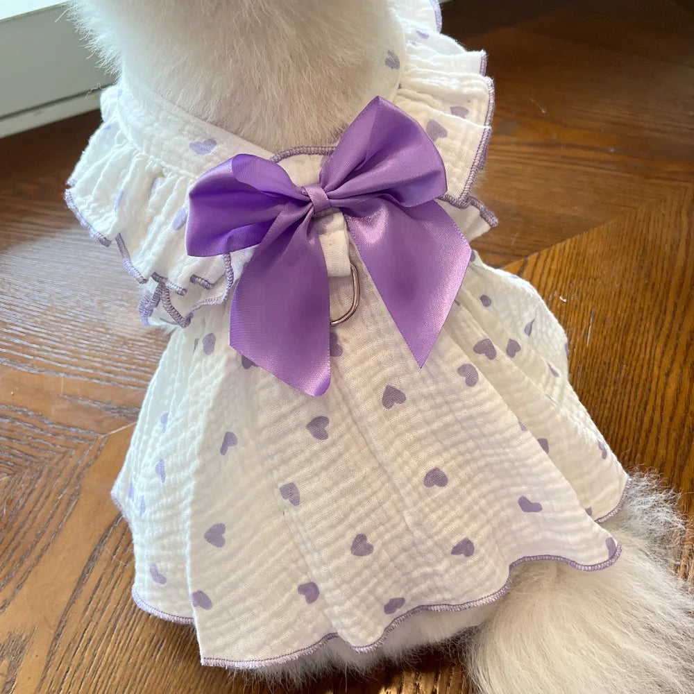 Robe Pour Chien