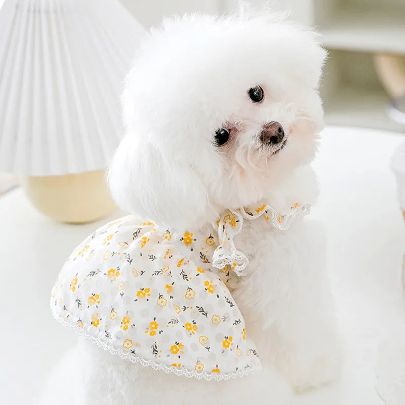 Robe Pour Chien - Au Choix