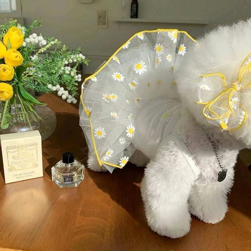 Robe Pour Chienne - Modèle au choix