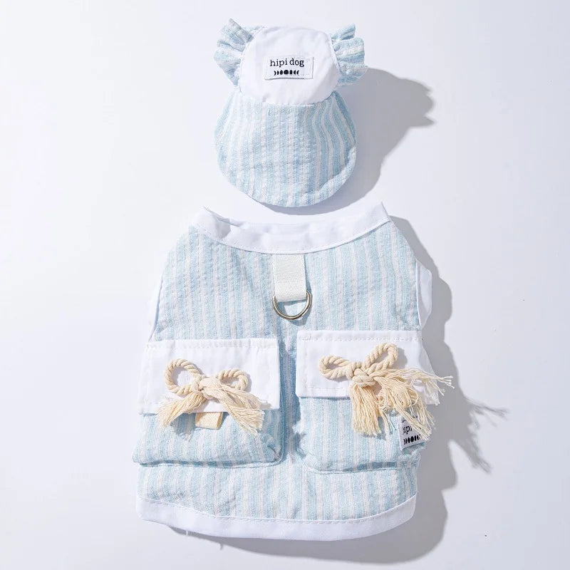 Ensemble Pour Chien