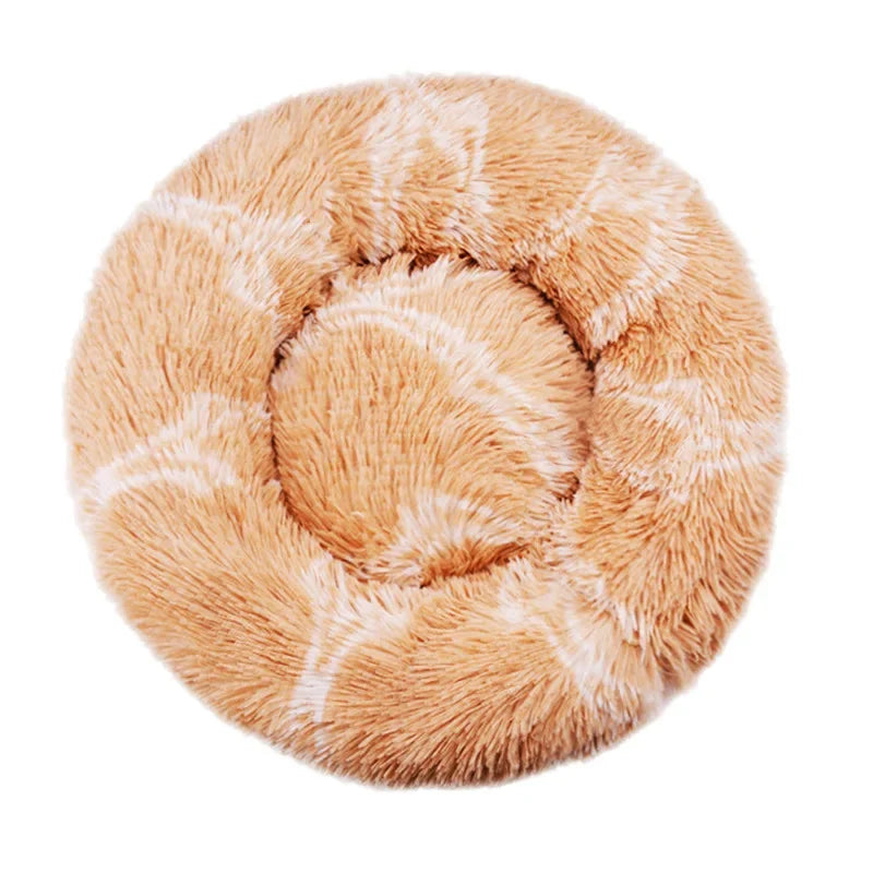 Coussin pour Chien