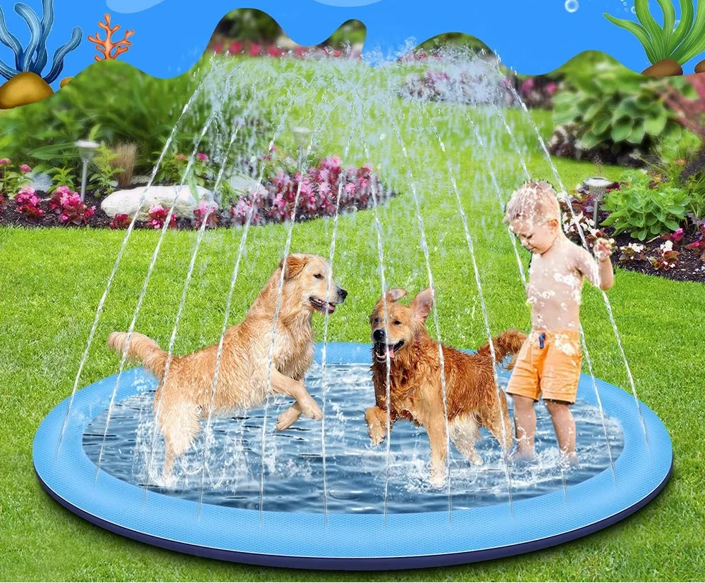 Piscine pour Chien
