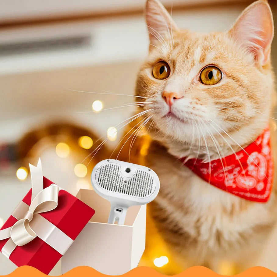 Brosse Vapeur pour Chat
