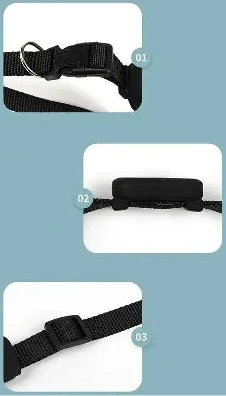 Collier GPS pour Animaux