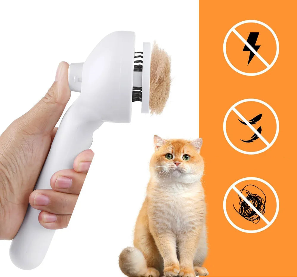 Brosse Vapeur pour Chat