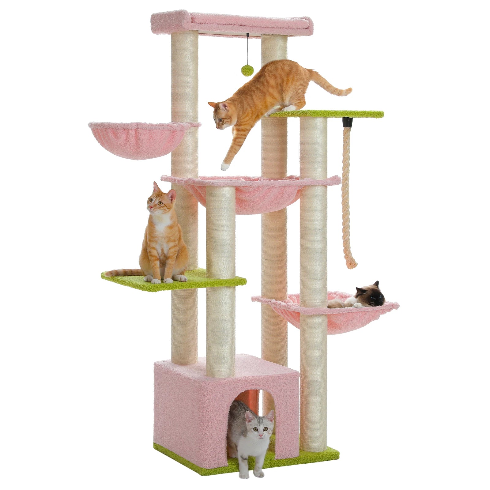 Arbre a Chats
