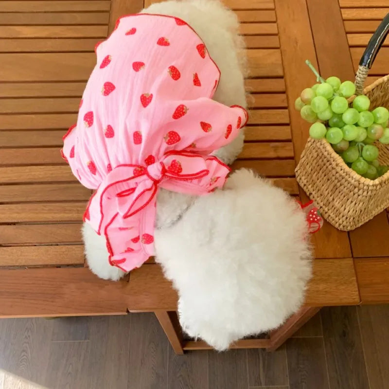 Robe Pour Chien - Au Choix