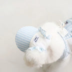 Ensemble Pour Chien