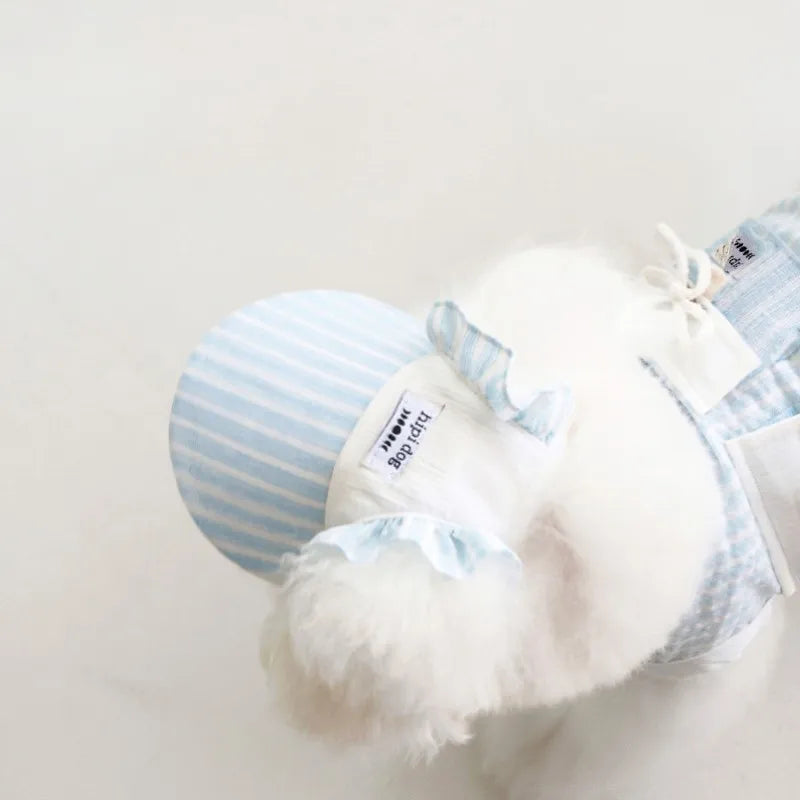 Ensemble Pour Chien