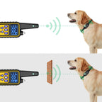 Collier Electrique pour Chien