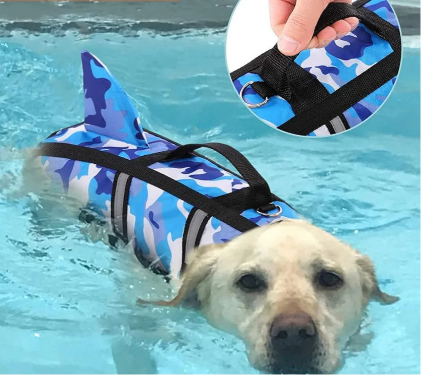 Gilet De Sauvetage Pour Chien