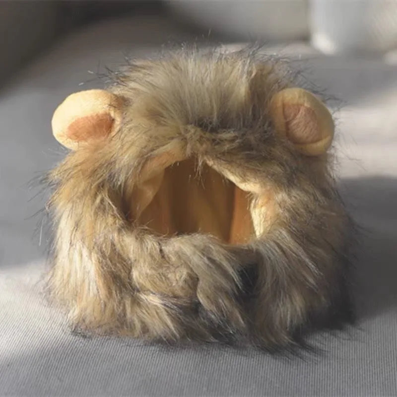 Crinière De Lion Pour Chat