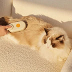 Brosse Vapeur pour Animaux