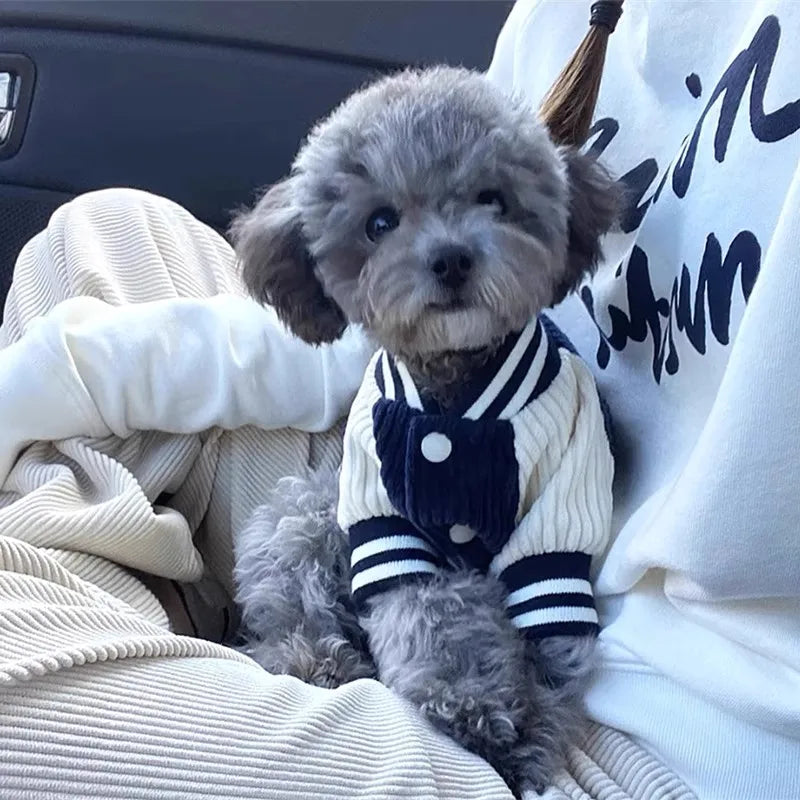 Gilet Pour Chien