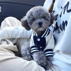 Gilet Pour Chien