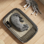 Litière pour Chat