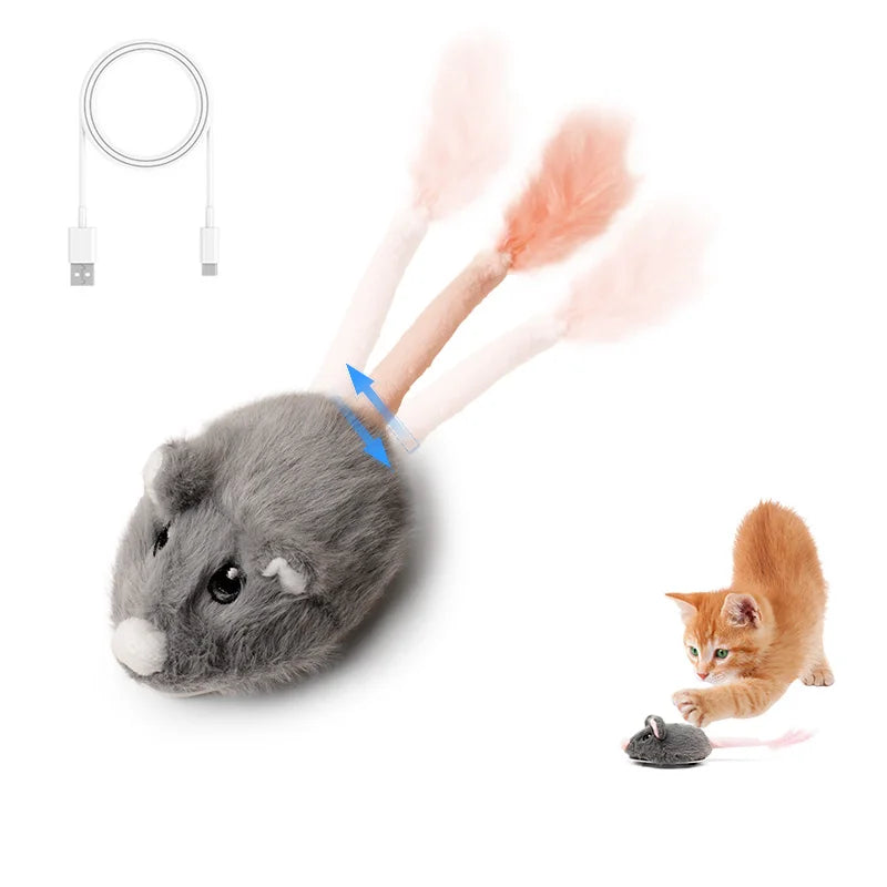 Souris pour Chat
