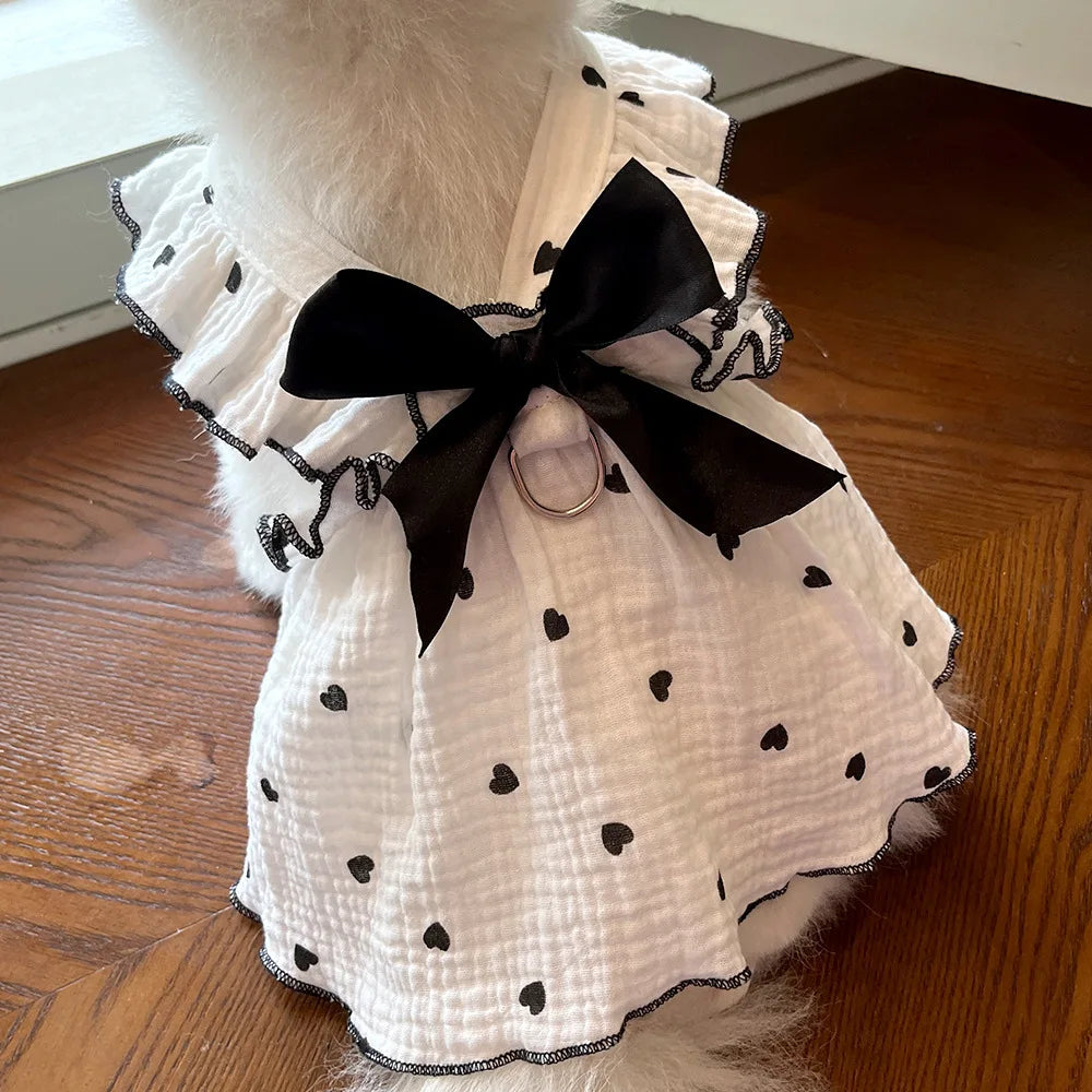 Robe Pour Chien