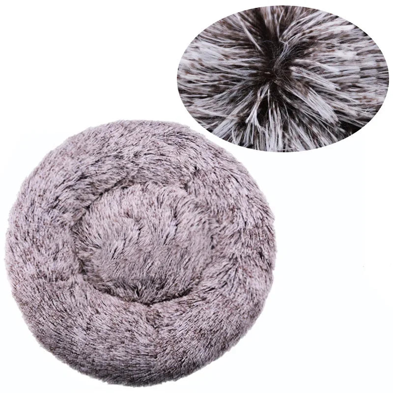 Coussin pour Chien