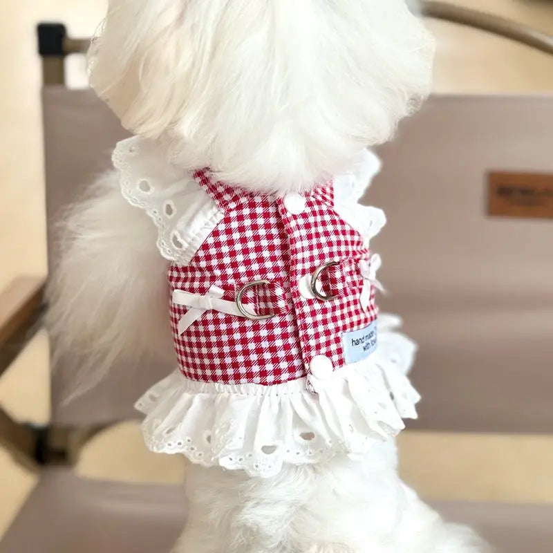 Robe Pour Chien à Carreau