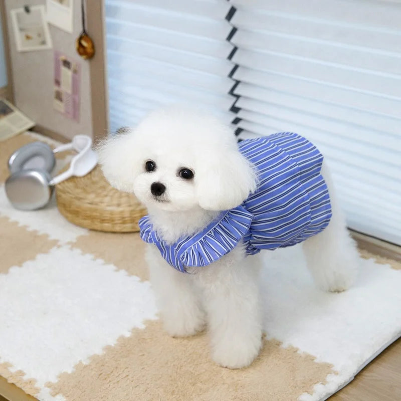 Robe Pour Chien - Au Choix