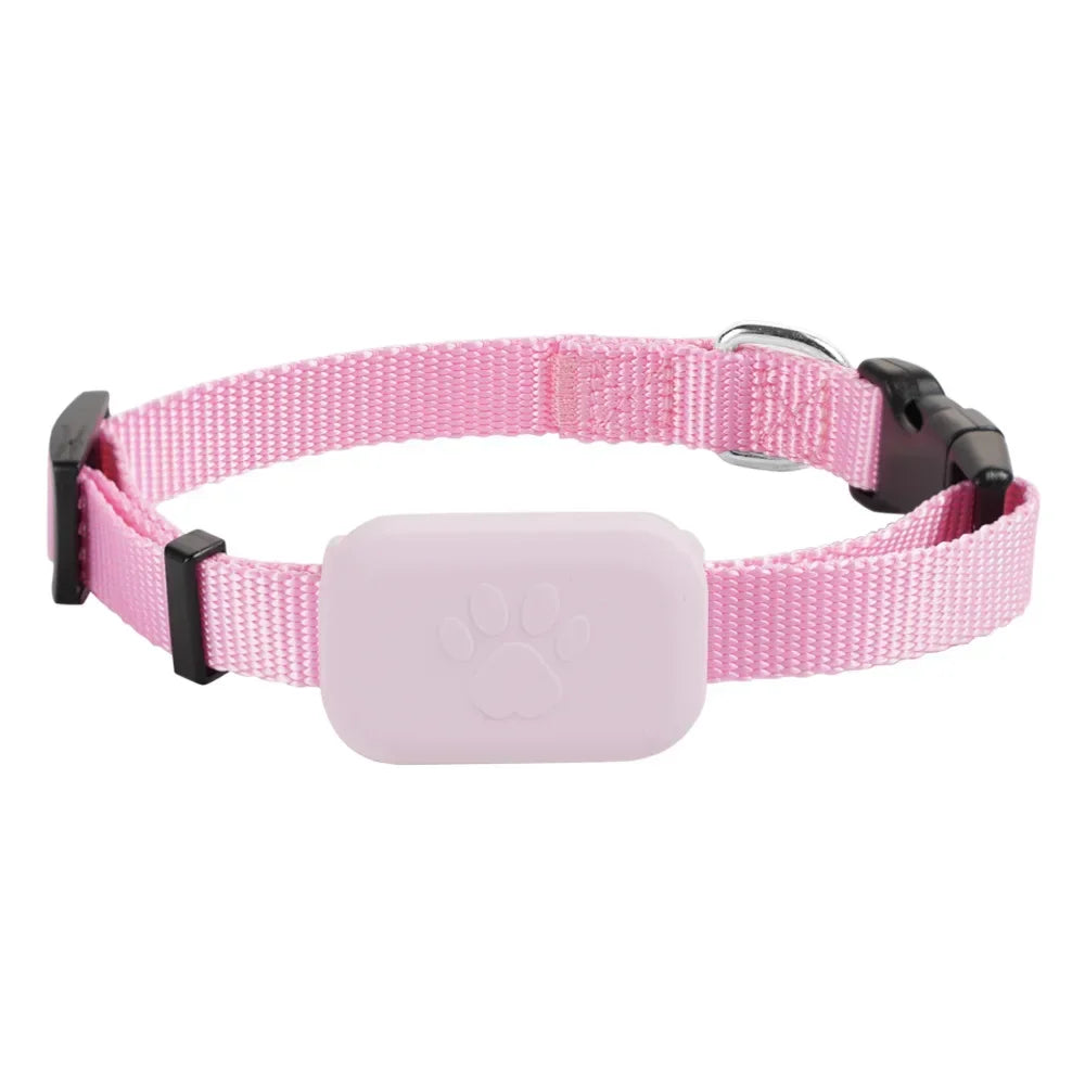 Collier GPS pour Animaux