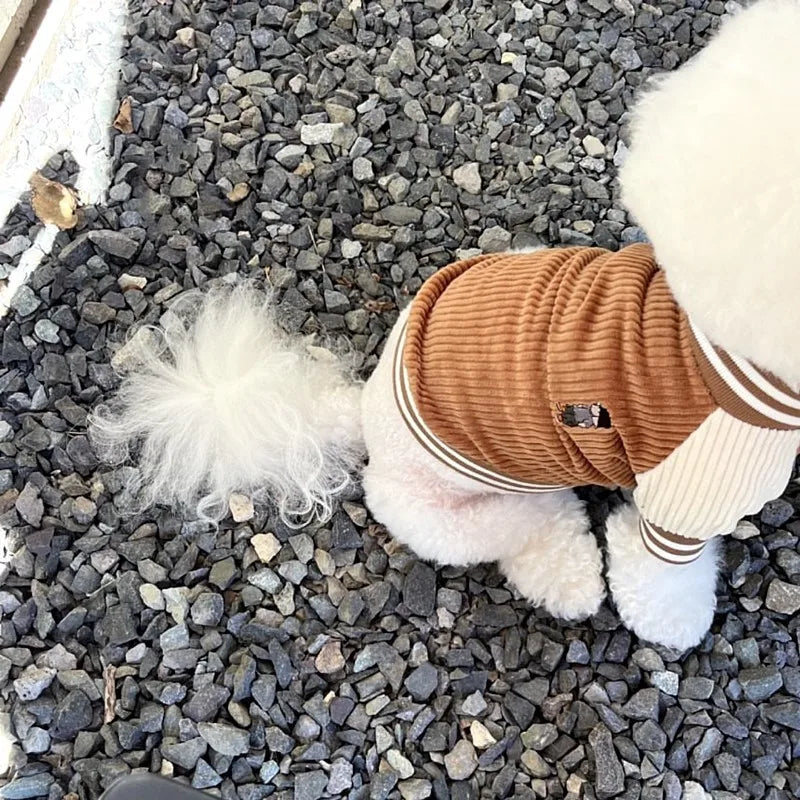 Gilet Pour Chien