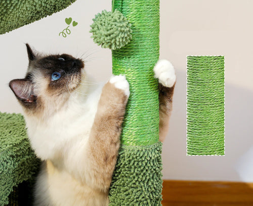 Arbre a Chat Cactus
