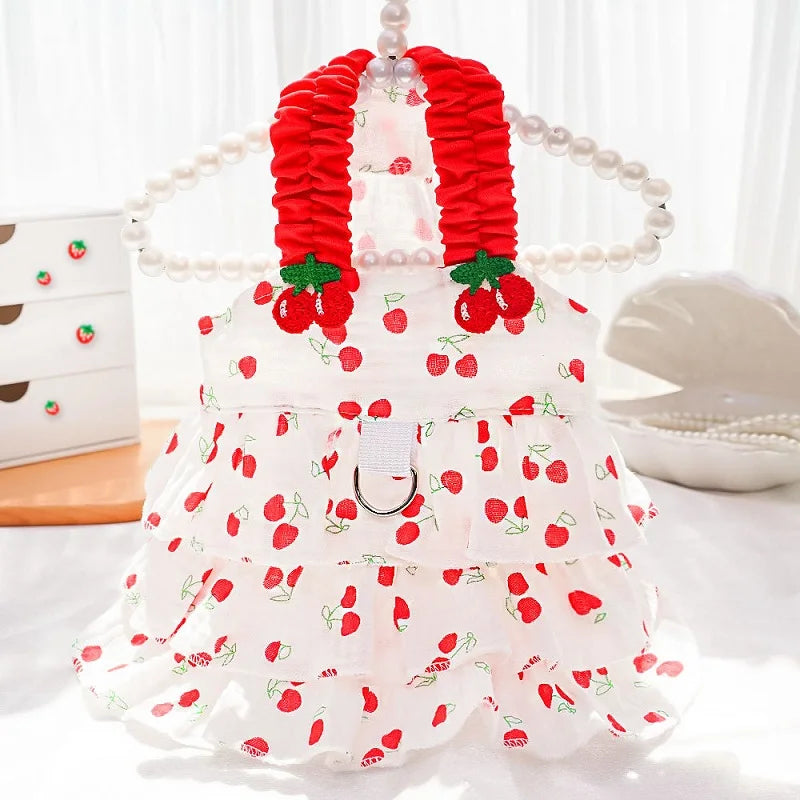 Robe Pour Chienne