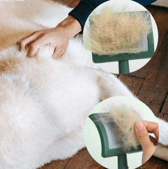 Brosse pour Chien