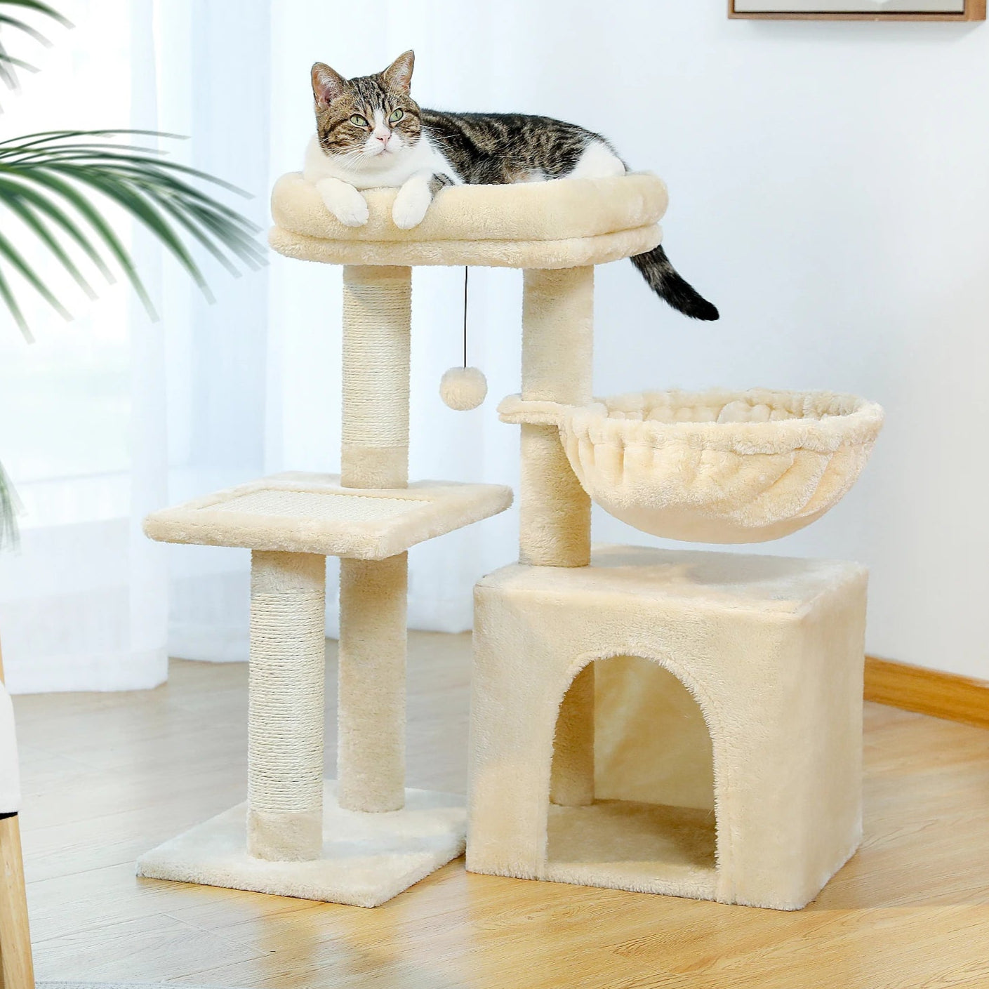 Arbres à Chat