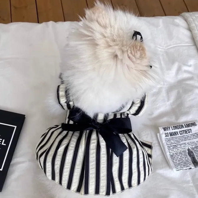 Robe Pour Chien - Au Choix