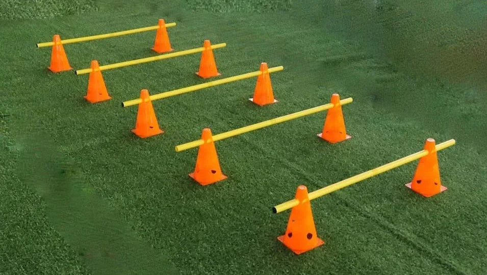 Obstacle Pour Chien
