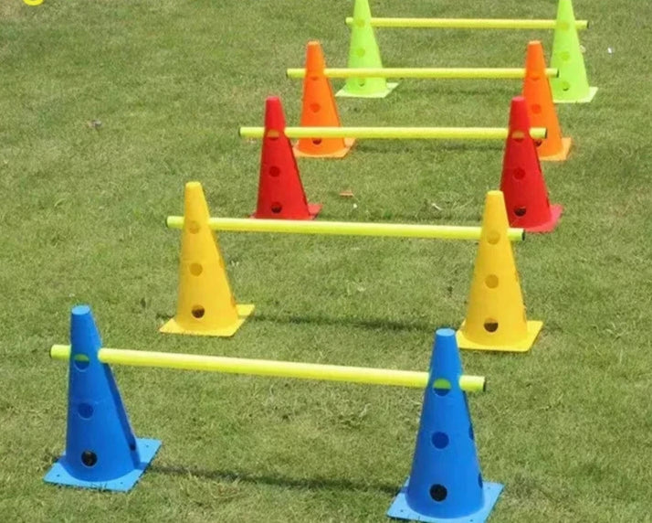 Obstacle Pour Chien