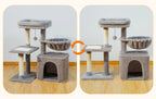 Arbres à Chat