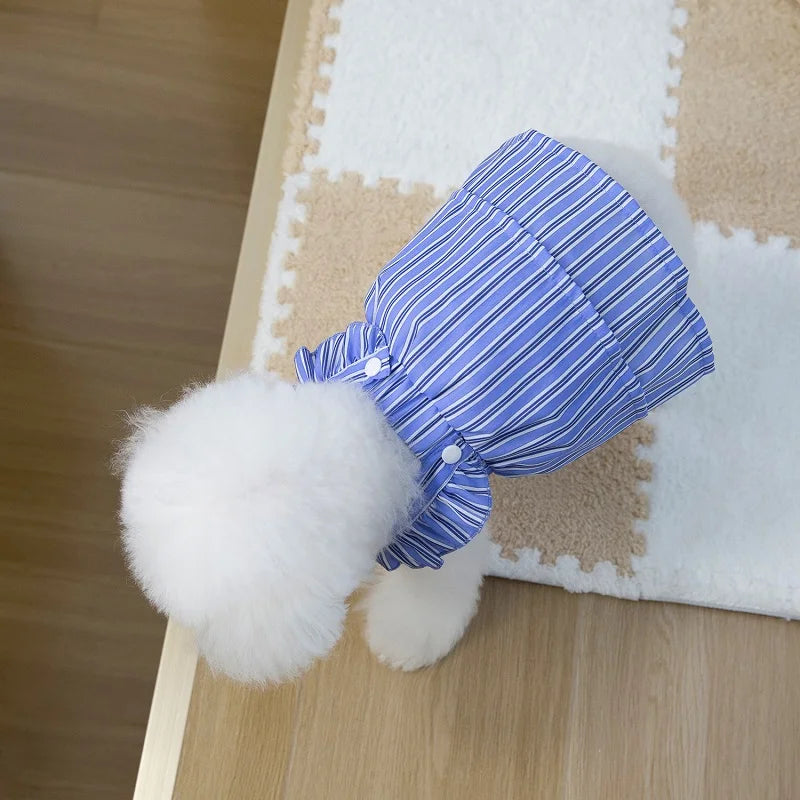 Robe Pour Chien - Au Choix
