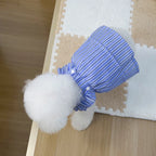 Robe Pour Chien - Au Choix