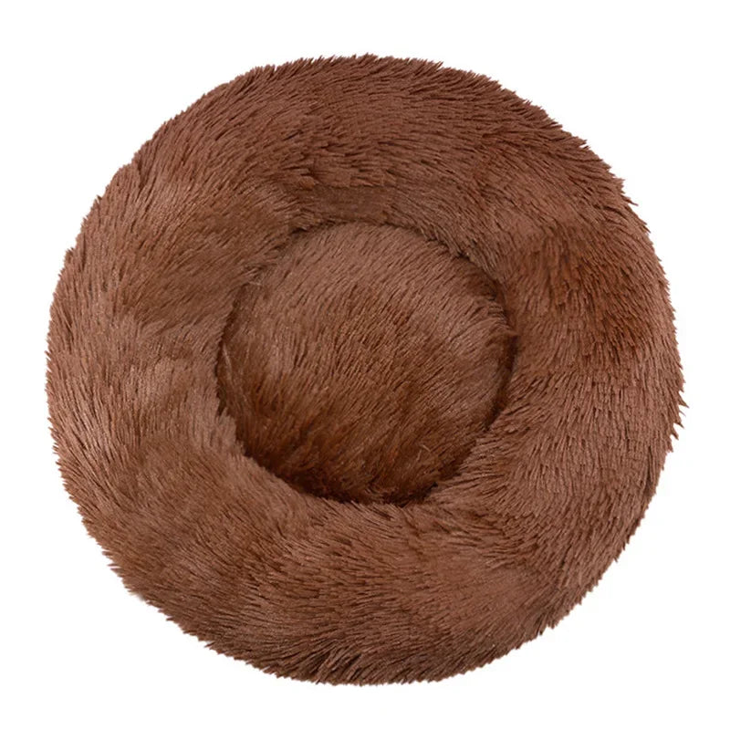 Coussin pour Chien