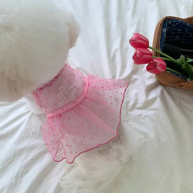 Robe Pour Chienne - Modèle au choix