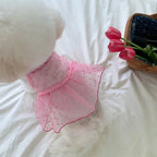 Robe Pour Chienne - Modèle au choix