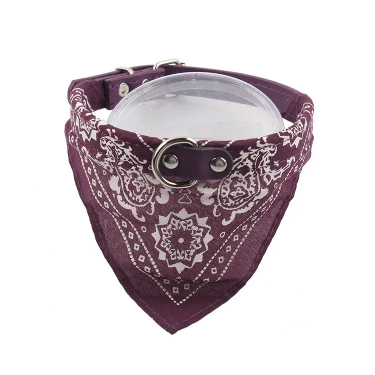 Bandana pour Chien