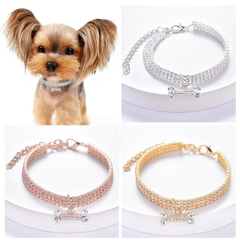 Collier Bijoux pour Chien