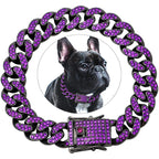Collier Fashion pour Chien