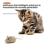 Souris pour Chat