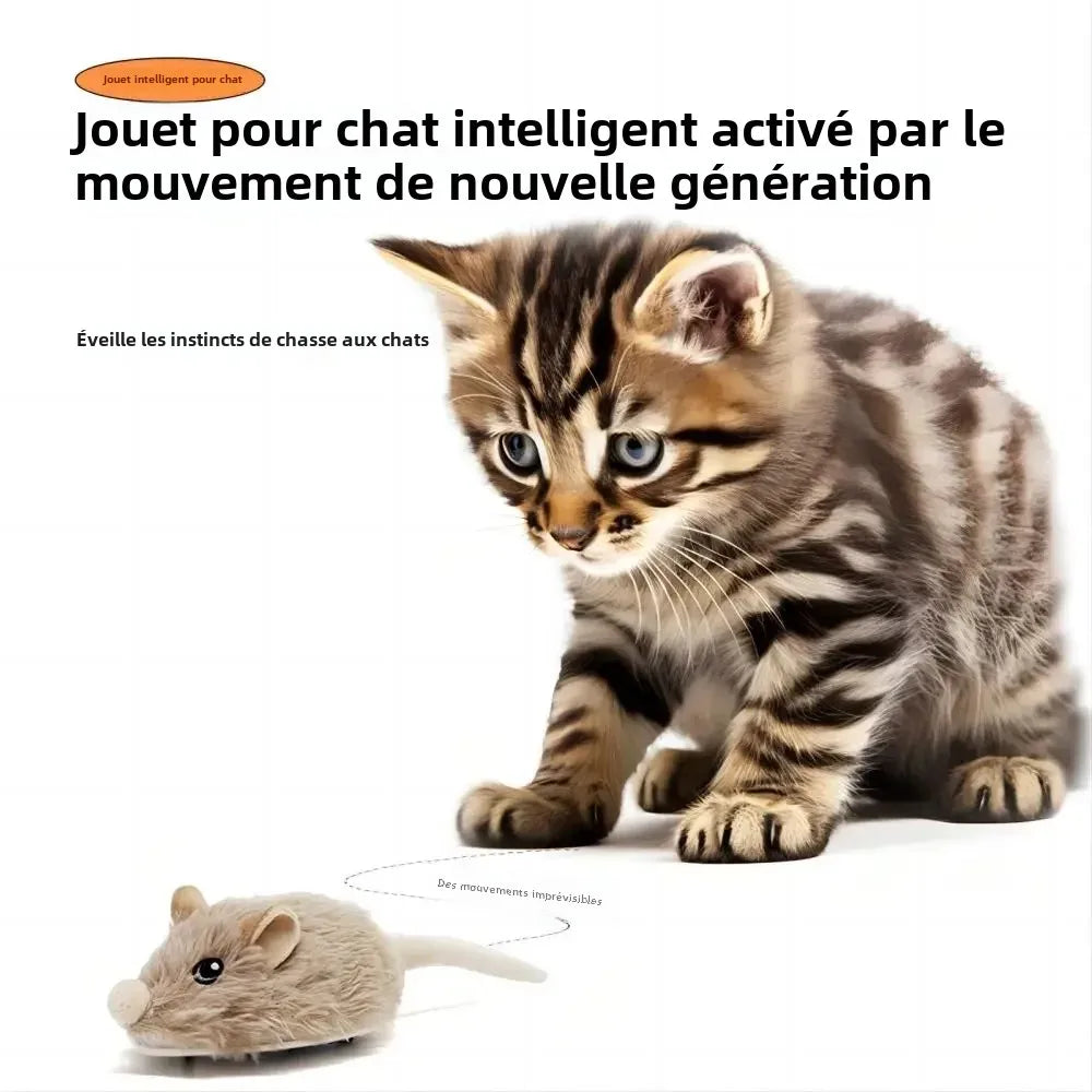 Souris pour Chat