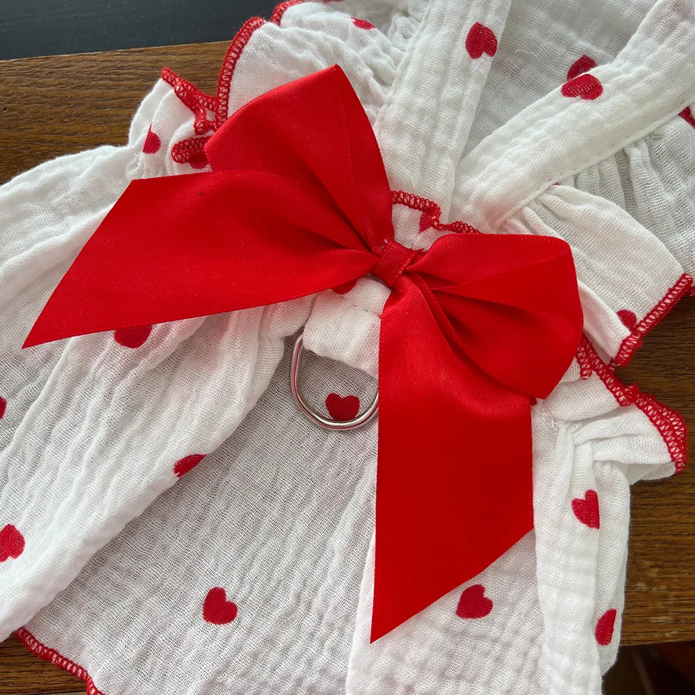 Robe Pour Chien