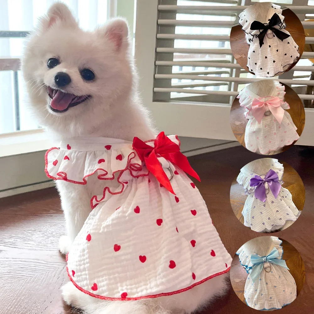 Robe Pour Chien