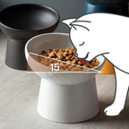 Gamelle pour Chat Design